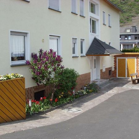 Fewo Moselblick Daire Ernst Dış mekan fotoğraf